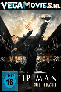 Ip Man Kung Fu Master (2019)