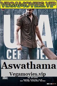 Aswathama (2021) Hindi Dubbed Movie Web