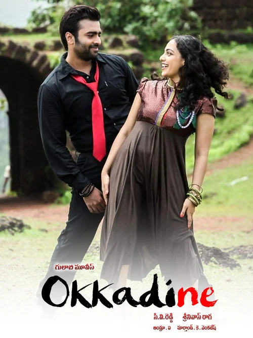 Download Aur Ek Dushman (Okkadine) (2020) Hindi Dubbed Full Movie 480p [300MB] | 720p [700MB]