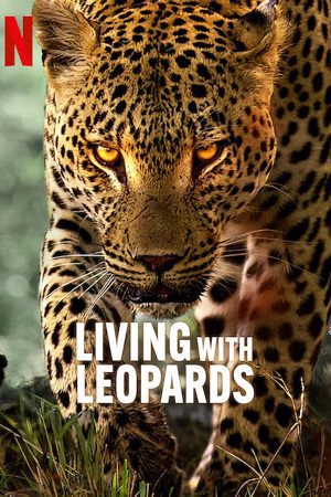 Living With Leopards (2024) English Full Movie