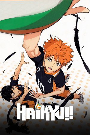 Haikyu Season 1 4 Hindi Dubbed Series