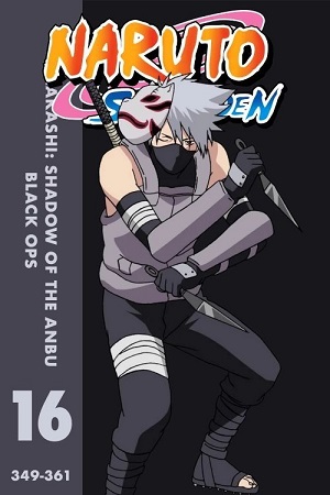 Naruto Shippuden Season Hindi Dubbed Anime Series