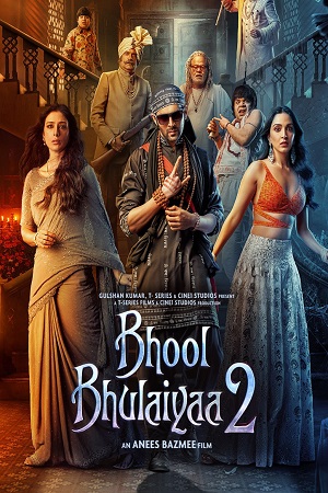 Bhool Bhulaiyaa 2 (2022) Hindi Movie