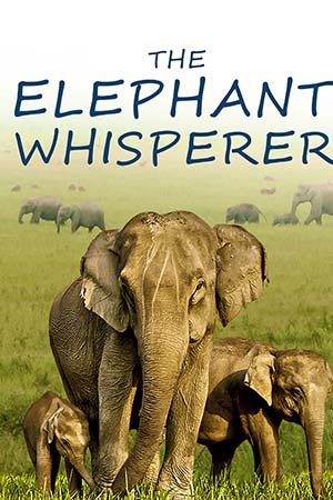 The Elephant Whisperers (2022) Hindi