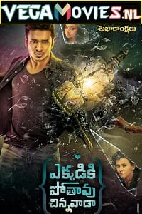 Ekkadiki Pothavu Chinnavada (2016) Hindi Dubbed Movie