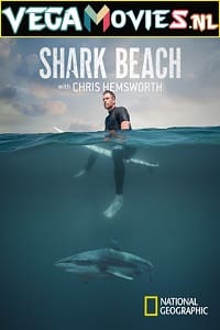 Shark Beach With Chris Hemsworth (2021)